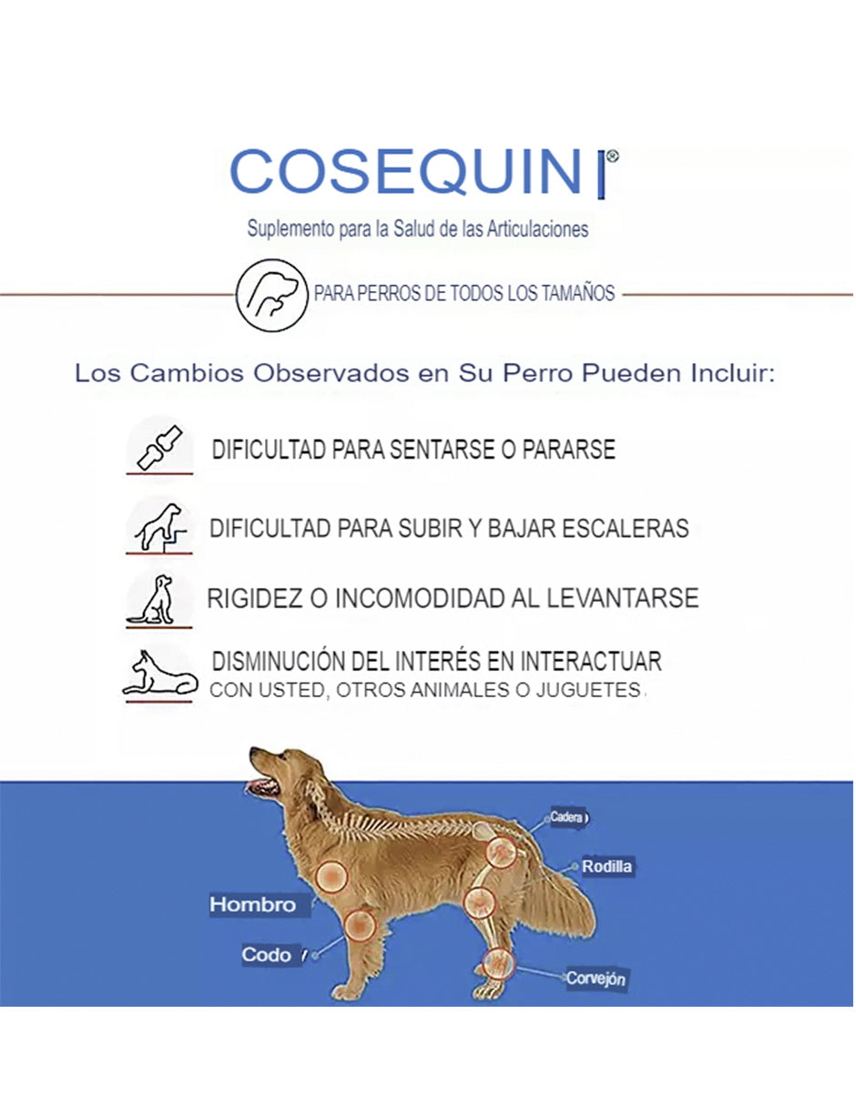 Cosequin, máxima potencia con glucosamina, condroitina, MSM y ácido hialurónico,180 unidades