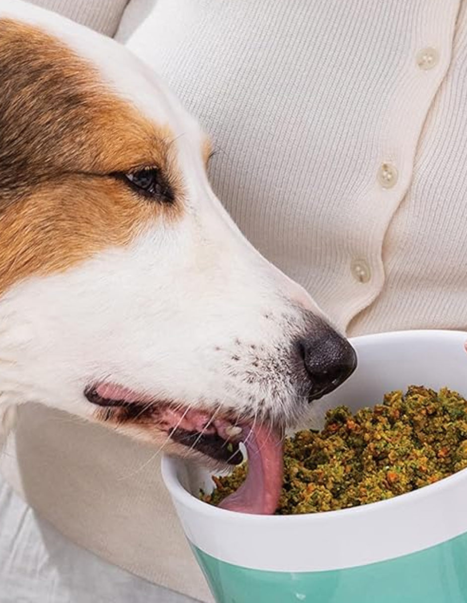 Alimento deshidratado para perros de grado humano Dr. Harvey's pollo 2.27kg