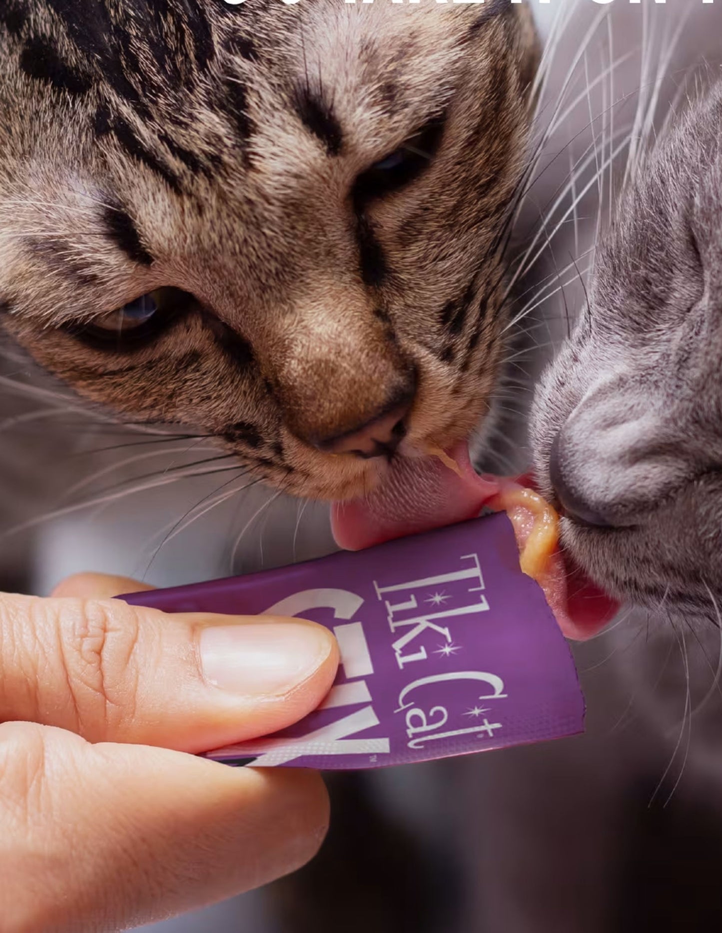 Premios húmedos cremosos para gato Tiki Cat Stix Paquete Variado 6 x 14 g