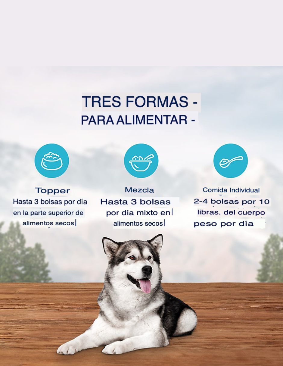 Blue Buffalo Wilderness alimento húmedo para perros adultos natural wild cuts 12 pack