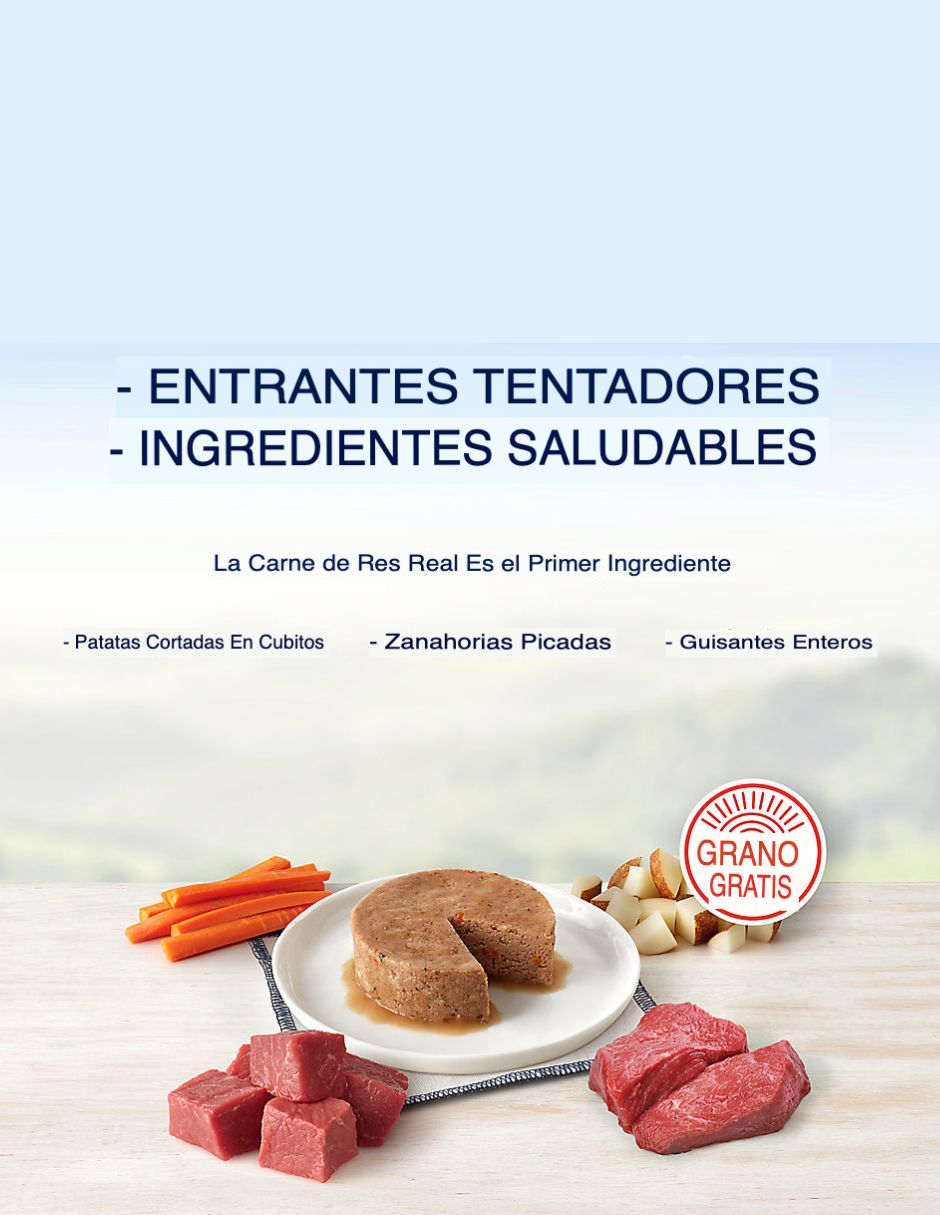 Blue Buffalo Divine Delights Alimento húmedo para perros en paté raza pequeña 12 pack