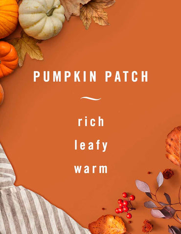 Febreze Ambientador Aerosol Spray Aroma Pumpkin 2 pack