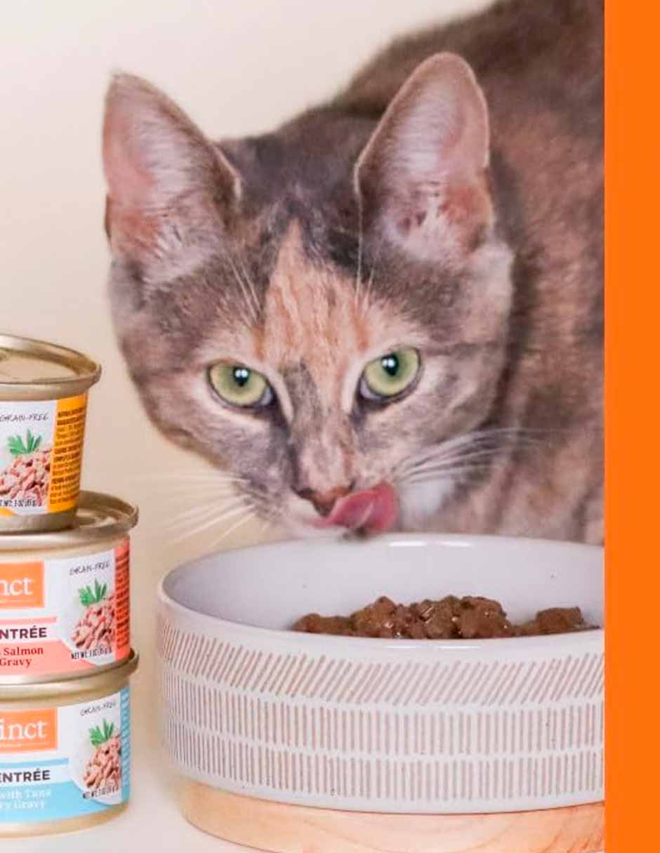 Instinct comida húmeda para gatos en hojuelas 3oz sabor pollo, pato y salmón 12 pack