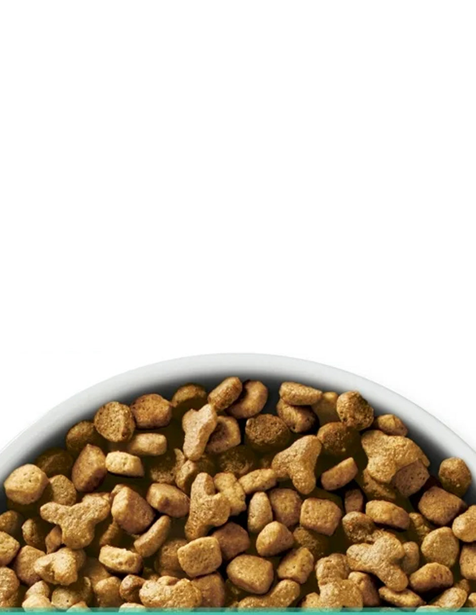 Alimento Seco para gatos Purina ONE +Plus Piel Sensible y Estómago sabor pavo 3.17kg