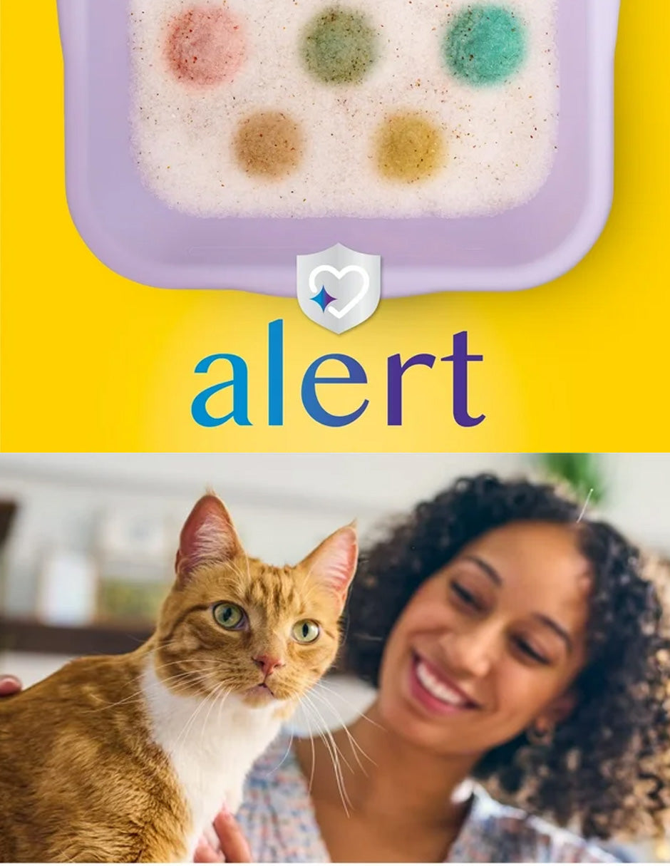 Arena Gatos Sílice Monitorea Salud Tidy Cats 3kg