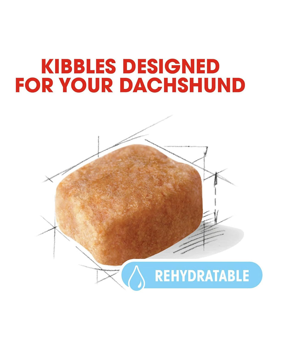 Alimento seco para perro salchicha senior 8+ Royal Canin 1.36kg