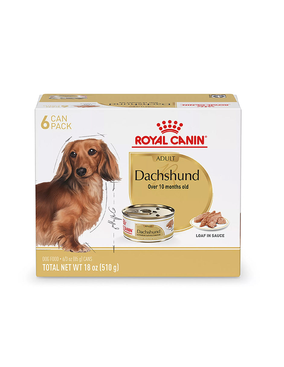 Royal Canin Dachshund adultos Comida Húmeda 6 latas 85g