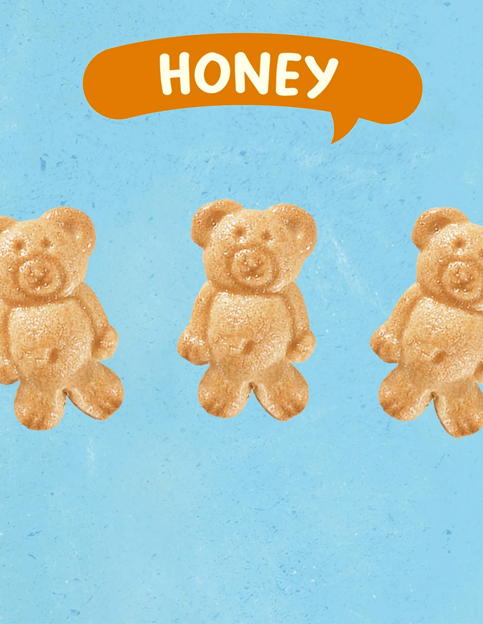 Teddy Grahams Honey Graham Snacks, 10 unidades
