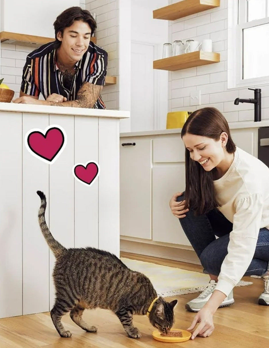 Alimento húmedo para gatos Temptations Paté sabor Pollo y Mariscos 12 Pack