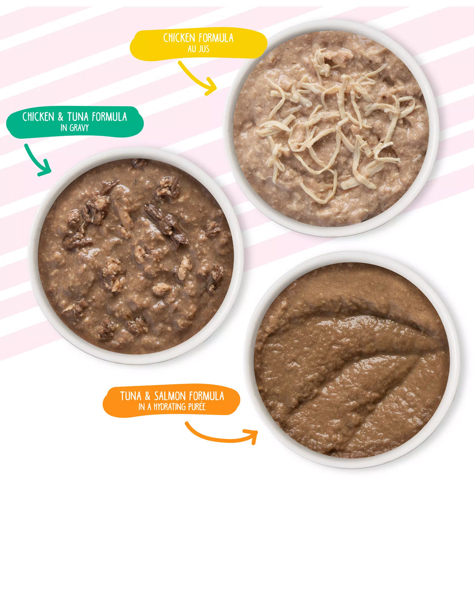 Weruva Comida húmeda para gatos Kitten Can Jam! paquete variado, 3oz, 12 unidades