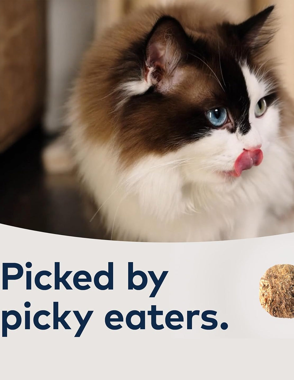 Alimento para gatos al vapor y seco sin granos ZIWI Peak sabor pollo (variedad)