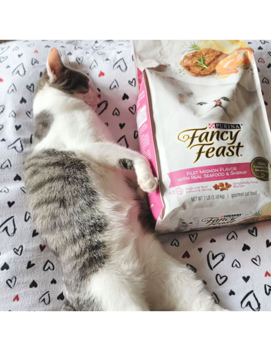 Alimento seco para gatos Purina Fancy Feast sabor filete mignon con mariscos y camarones