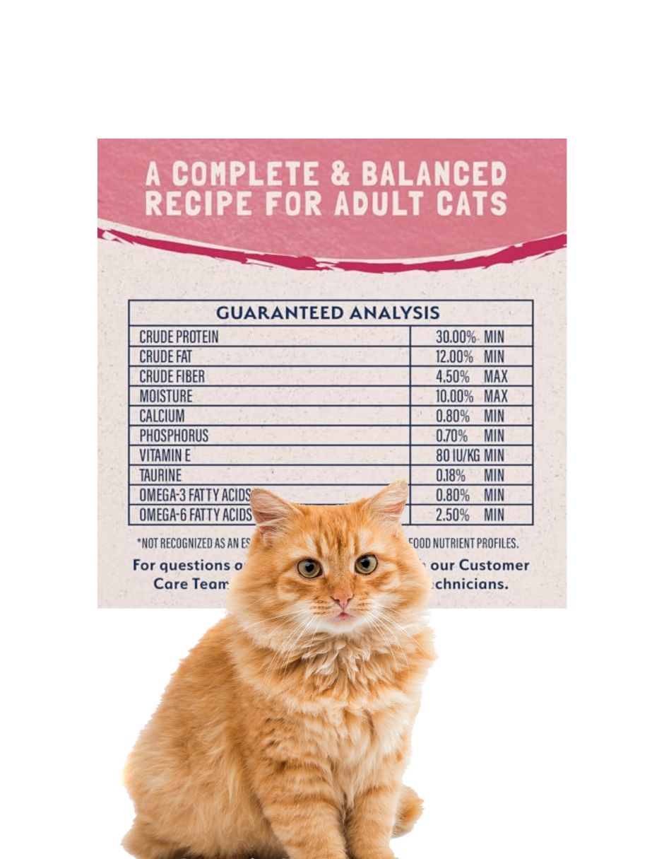 Natural Balance Gato Salmón Sin Granos 4.54 kg