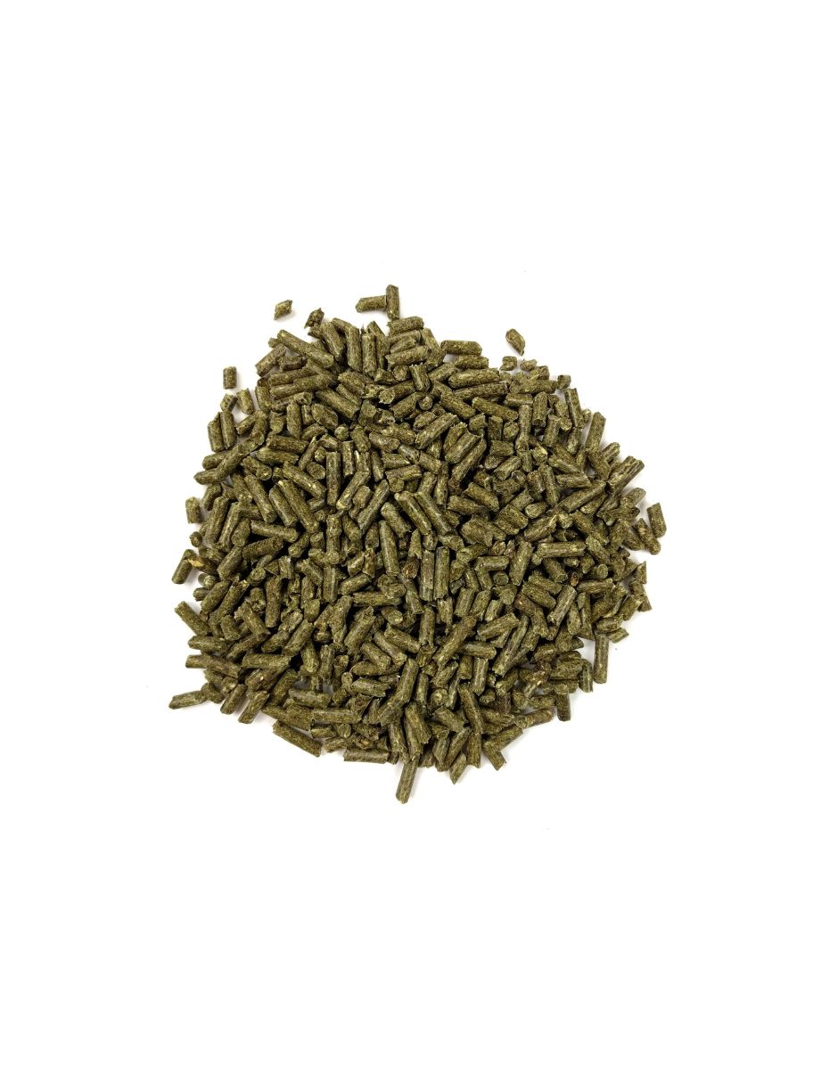 Alimento Oxbow Essentials para Cuyos Adultos con Vitamina C 4.53kg
