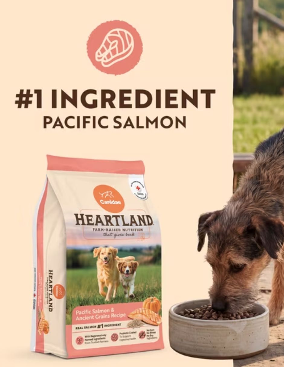 Alimento Canidae Heartland Salmón para Perro 10.2 kg