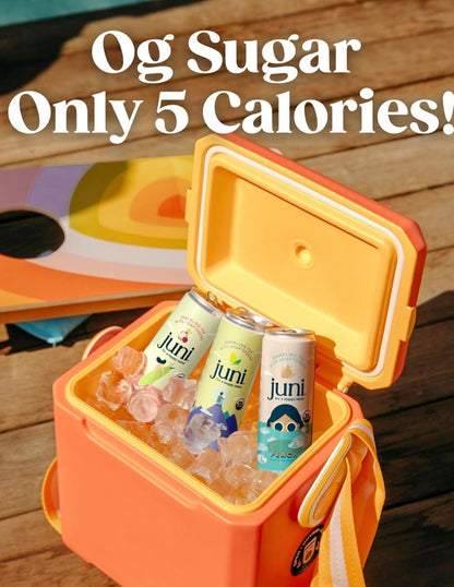 Juni Bebida Adaptogénica Orgánica Pack Variado 12 Latas