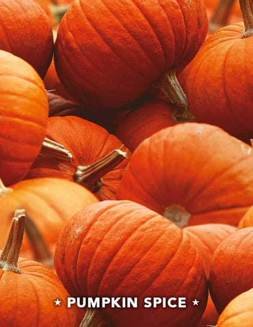 AirWick repuestos de Aceite Perfumado PlugIns, aroma Pumpkin Spice, 4 unidades
