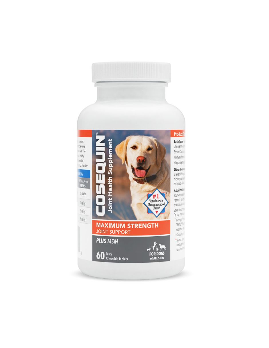 Cosequin DS Plus MSM tabletas masticables para perros 60 tabletas