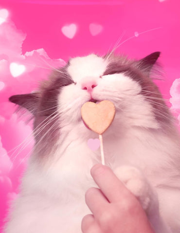 Golosinas para Gato Bonkers PurrPops de Pollo 52 paletas liofilizadas