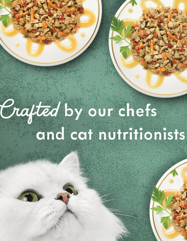 Comida húmeda para gatos Purina Fancy Feast Medleys Primavera 12 pack