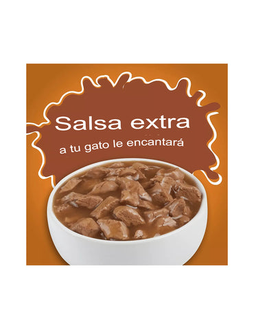 Friskies Alimento húmedo para gatos Extra Gravy con pollo, pavo, salmón y carne de res, 24 unidades