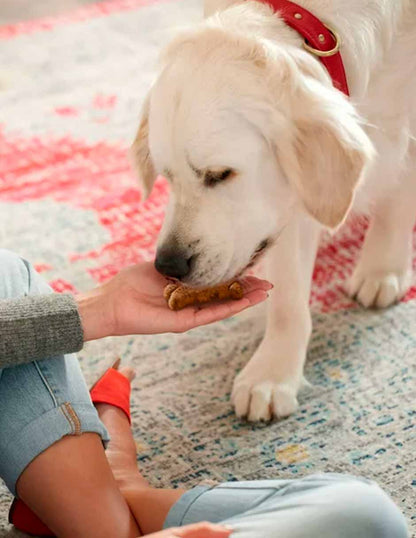 Milk-Bone GravyBones Galletas para perros pequeños 538gr