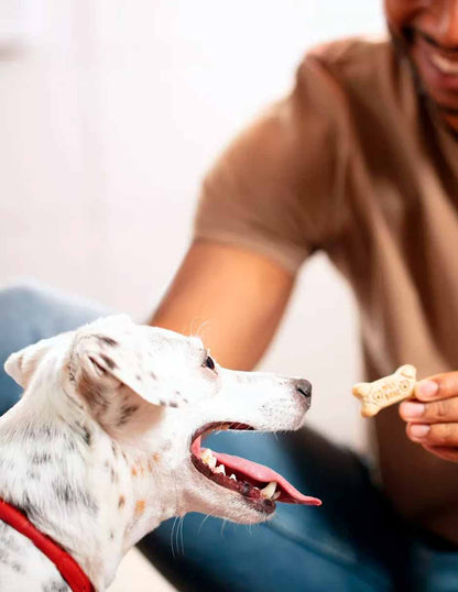 Milk bone Galletas para perros medianos 4.54kg