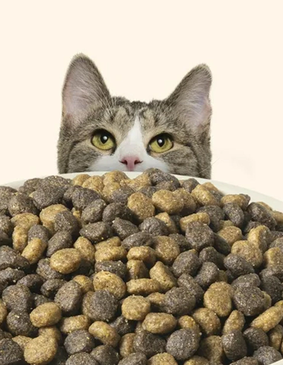 Alimento seco para gatos Nutrish Indoor sabor Pollo, Lentejas, Salmón 6.35kg