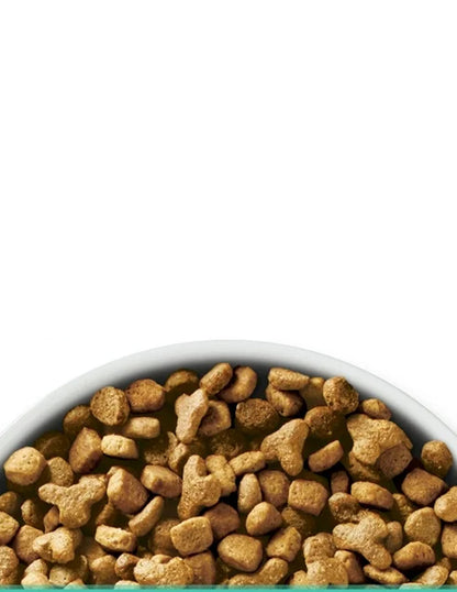 Alimento Seco para gatos Purina ONE +Plus Piel Sensible y Estómago sabor pavo 3.17kg