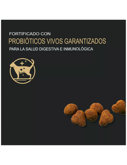 Croquetas Purina Pro Plan de pollo y arroz para gatos mayores 1.45kg