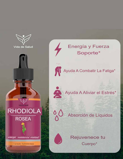 Rhodiola Rosea gotas suplemento energético y alivio del estrés 30ml