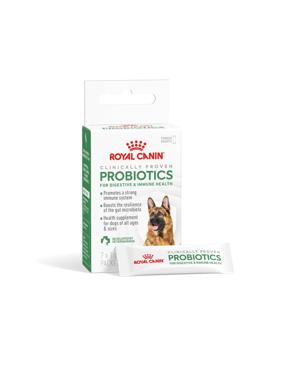 Suplemento probiótico en polvo para perros Royal Canin paquete con 7 sobres