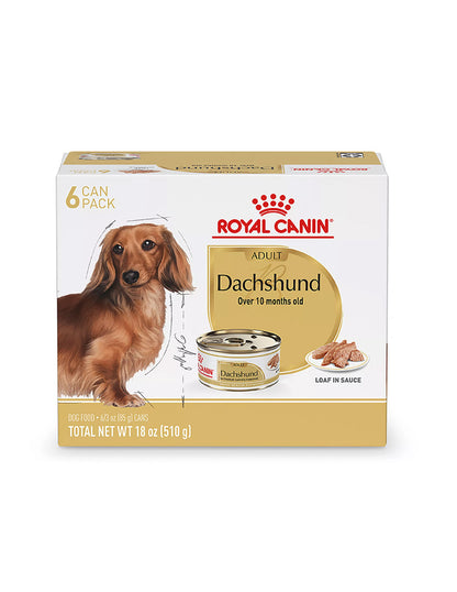 Royal Canin Dachshund adultos Comida Húmeda 6 latas 85g