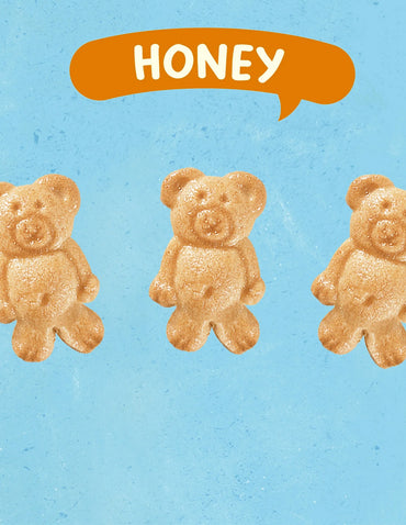 Teddy Grahams Honey Graham Snacks, 10 unidades