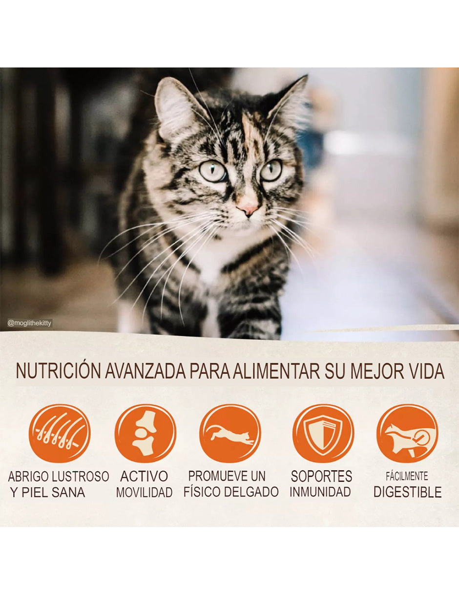 Alimento para gatos adultos Wellness® CORE® de interior: natural, sin cereales, con pollo, pavo y harina de pollo