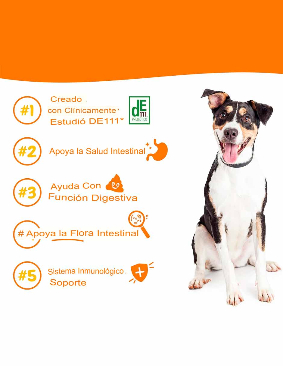 Zesty Paws Probióticos para perros enzimas digestivas 50 masticables